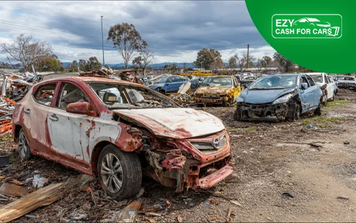 A Day in the Life of a Car Scrap Yard